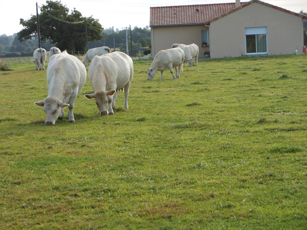 Bed and Breakfast Chambre D'Hotes La Basse Gougeonniere Neuvy-en-Mauges Exterior foto